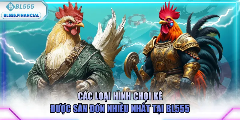 Các loại hình chọi kê được săn đón nhiều nhất tại BL555